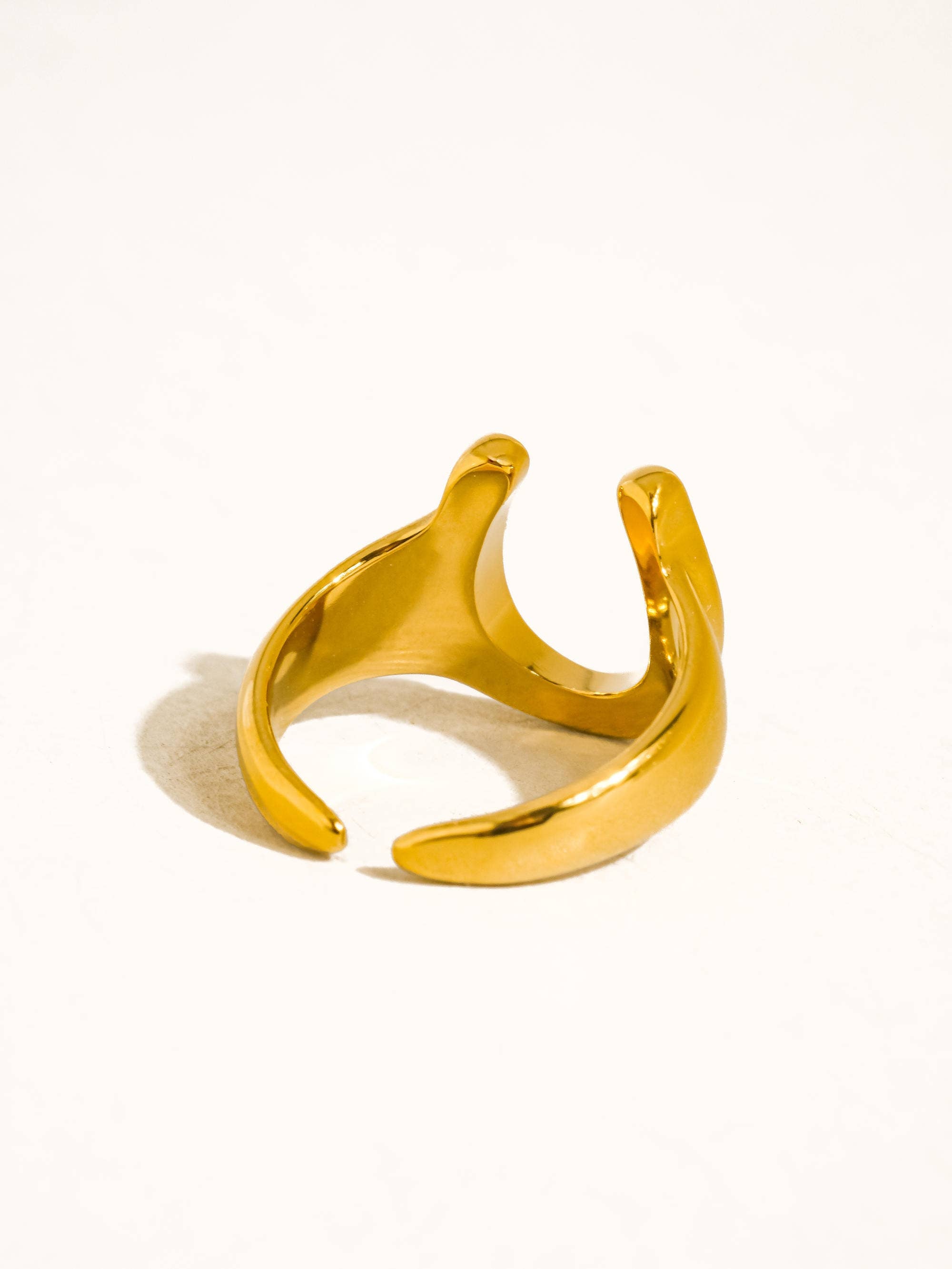 Horseshoe Ring